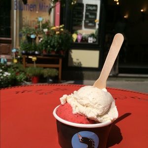 Meet your Posher, Greta